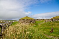 IMG_0208