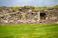 IMG_0209