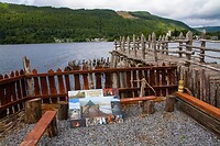 IMG_0350