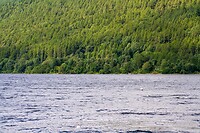 IMG_0353