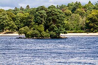 IMG_0354