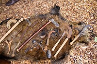 IMG_0372