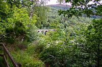 IMG_0437