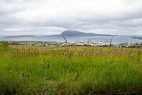 IMG_3409