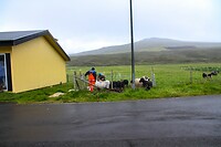 IMG_3575