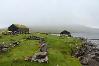 IMG_3585