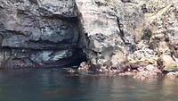 Terugweg Mykines