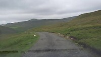 Easy road... a little bumby!