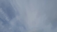 20240731_105232