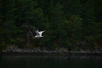 079A0559_1