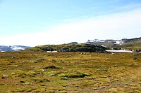 079A0542_1