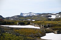 079A0549_1