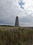 1000024121