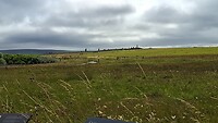 IMG-20260814-WA0003
