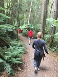 Wandelen naar de waterval