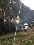 De zon tussen de bomen door