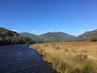 Rivier