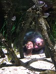 Sealife