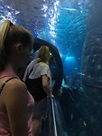 Sealife