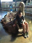 Sealife