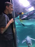 Sealife