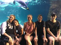 Sealife