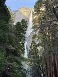 IMG_8175
