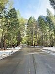 IMG_8137