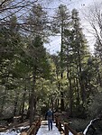 IMG_8122