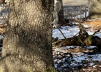 IMG_8116