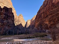 IMG_8294