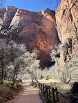 IMG_8295