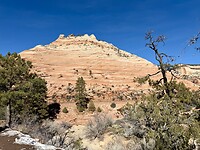 IMG_8302