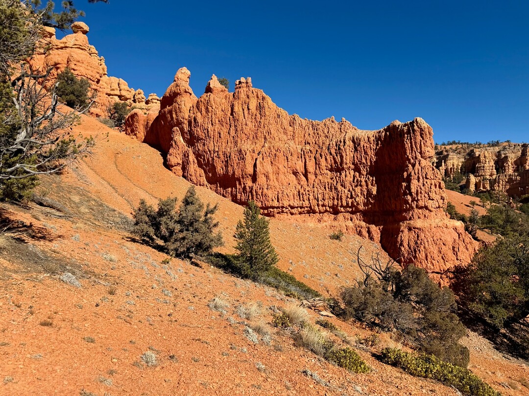 Red Canyon