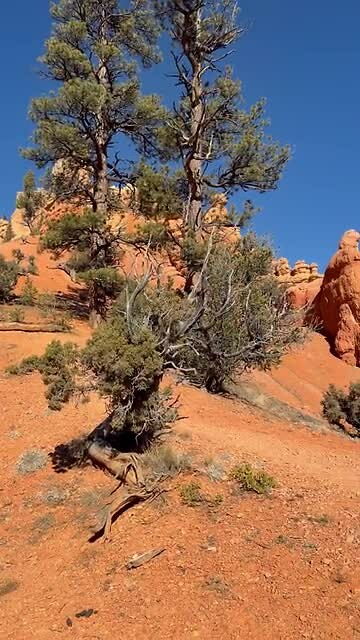 Red Canyon