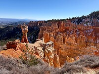 IMG_8358