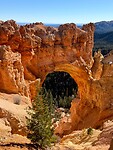IMG_8360