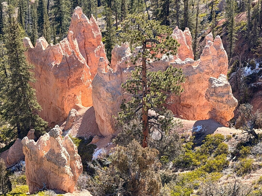 Hoodoos