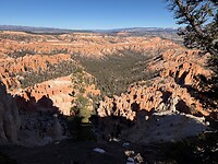 IMG_8377