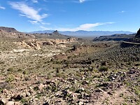 IMG_8458