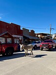 IMG_8471