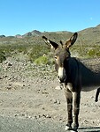 IMG_8479
