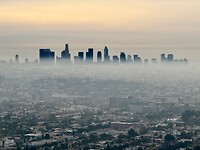 IMG_8513