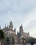 IMG_8520