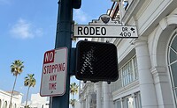 IMG_8545