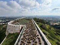 IMG_8547