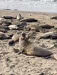 IMG_8595