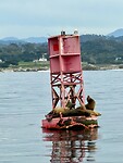 IMG_8630
