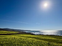IMG_8639