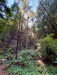IMG_8644
